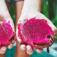 Health Revel 100% Organic Dragon Fruit Powder (Red Pitaya)